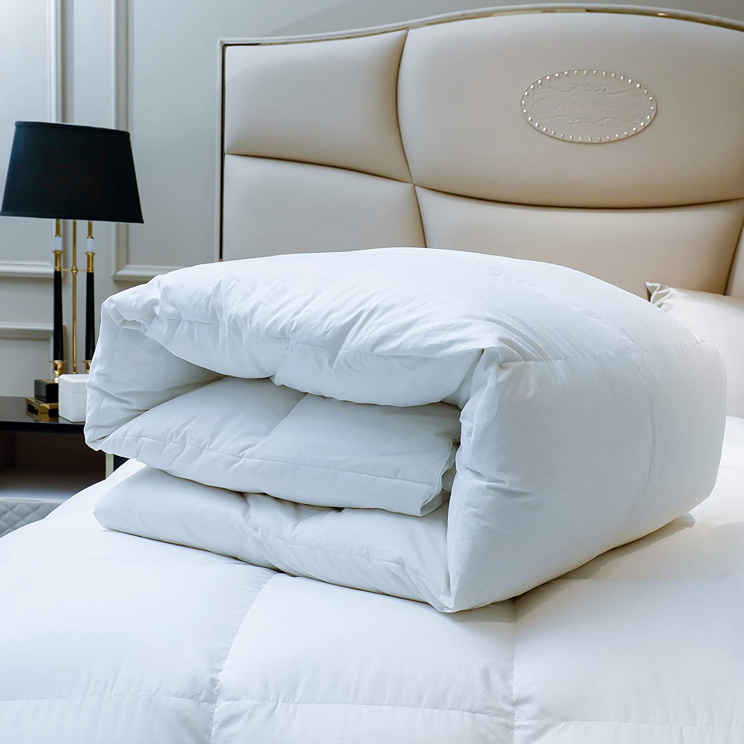 Queen Size Down Comforter&Duvet Inserts,Natural White Down Cluster Filling,Space Capsule Design,Lightweight,750 FP,100% Cotton Cover,Silent Duvet for All Sleep