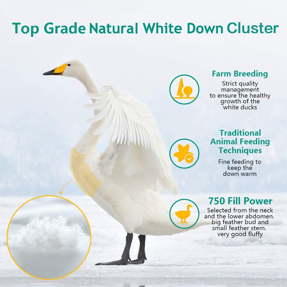 Twin Size Down Comforter&Duvet Inserts,Natural White Down Cluster Filling,Space Capsule Design,Lightweight,750 FP,100% Cotton Cover,Silent Duvet for All Sleep